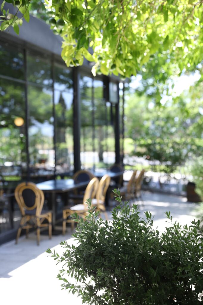 תמונה של WhatsApp‏ 2025-07-10 בשעה 18.46.12_dc8b0b2c