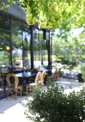 תמונה של WhatsApp‏ 2025-07-10 בשעה 18.46.12_dc8b0b2c