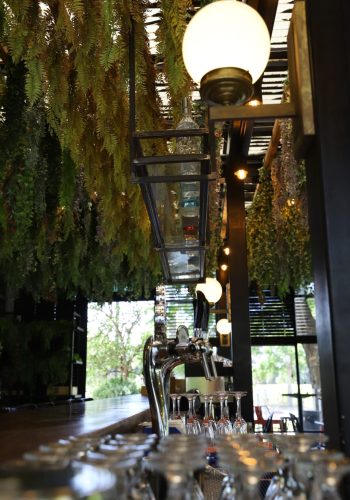 תמונה של WhatsApp‏ 2025-07-10 בשעה 18.46.13_02fb4e30