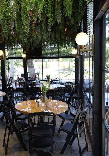 תמונה של WhatsApp‏ 2025-07-10 בשעה 18.46.13_4a9aa437