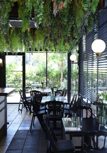 תמונה של WhatsApp‏ 2025-07-10 בשעה 18.46.14_e65fcb65