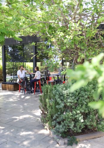 תמונה של WhatsApp‏ 2025-07-10 בשעה 18.47.49_7b720669