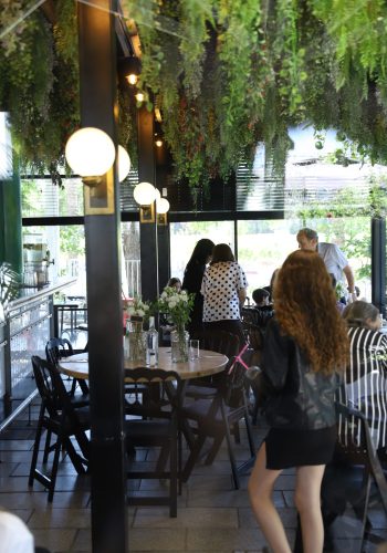 תמונה של WhatsApp‏ 2025-07-10 בשעה 18.47.50_3ddfb421